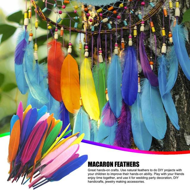 50 Pieces Colorful Feathers For Crafts Feather Crafts Dyed Feather